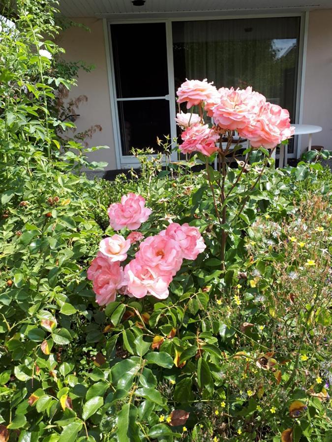 Entire House, Quiet City Location, Garden, Parking Bielefeld Eksteriør bilde